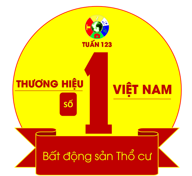 lĩnh vực hoạt động